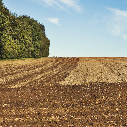 landwirtschaft